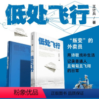 [正版]低处飞行 现象级网红诗人王计兵 海量报道 2600多万人阅读 “叛变”的外卖员用诗歌找补生活 记录普通人且匍匐