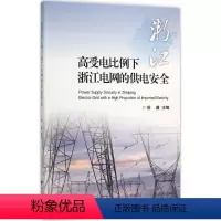 [正版]高受电比例下浙江电网的供电安全