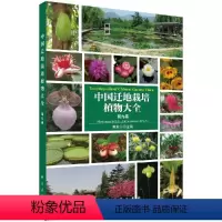 [正版]中国迁地栽培植物大全 第九卷