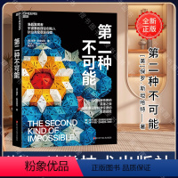 [正版]第二种不可能 物理学家保罗·斯坦哈特著 科普读物 科学冒险小说 准晶的发现故事 趣味性 纪实惊悚小说 湛庐文化
