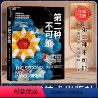 [正版]第二种不可能 物理学家保罗·斯坦哈特著 科普读物 科学冒险小说 准晶的发现故事 趣味性 纪实惊悚小说 湛庐文化