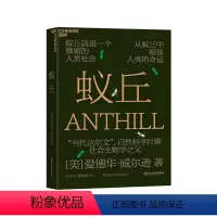 [正版]蚁丘