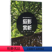 [正版]摄影赏析