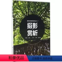[正版]摄影赏析
