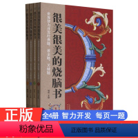 [正版]书店很美很美的烧脑书JST(世界智力开发经典题黄金题关键题共4册)