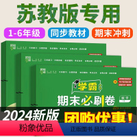 3册[苏教版]数学+[人教版]语文+[译林版]英语 六年级下 [正版]2024春版 苏教版数学试卷测试卷全套教辅书小学三