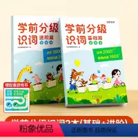 识词书基础+进阶(送游戏书2本) [正版] 学前分级识词幼小衔接基础篇进阶篇识字幼儿园宝宝识字识词启蒙认知学前儿童汉字5