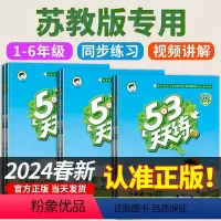 3册[苏教版]数学+[人教版]语文+[人教PEP版]英语 六年级下 [正版]2024春新版 53天天练苏教版小学数学 小