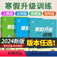 ★[全3科]人教版语文数学英语|共3本 小学六年级 [正版]2024新版 寒假升级训练一年级二年级三四五六年级寒假预复习