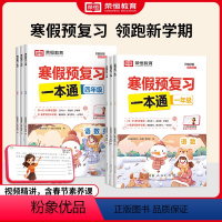 [预复习+阅读 | 2册]寒假一本通+寒假阅读 小学三年级 [正版]2024春新版 北师大版数学七年级下册同步练习册练习