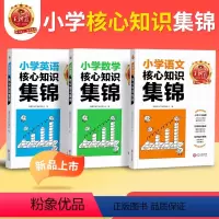 小学核心知识集锦2本[语文+数学] 小学通用 [正版]核心知识集锦语文数学英语基础知识大盘点一二三四五六年级小学知识大全