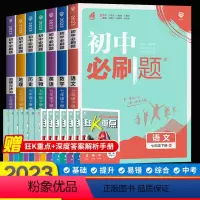 [套装7册]语/数/英/政/史/地/生 人教 七年级下 [正版]2023新版初中七年级下册语文数学英语政治历史地理生物人