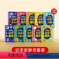 [时光学]识字早教安静书-10本装 [正版]识字早教安静书 幼儿启蒙游戏输学前认字卡粘贴魔术贴2-6岁儿童认字识字卡片宝