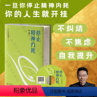 [正版] 停止精神内耗(附光盘) 探讨内耗以及停止内耗的实用方法 完美主义职场生活压力 自我提升心理励志心理学书籍