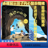 海边的山洞 [正版]店 海边的山洞 卡内基文学奖提名 埃塞克斯图书奖 达德利青少年图书奖 校园霸凌 强迫症 外国儿童文学