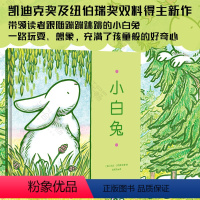 [正版]小白兔 凯文汉克斯著 跟随蹦蹦跳跳的小白兔一路玩耍 亲子阅读宝宝睡前图画故事书启蒙绘本幼儿教育经典家教书籍3-