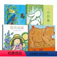 套装4册:鸟+小白兔+我的花园+大熊 [正版]套装4册:鸟+小白兔+我的花园+大熊
