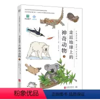 [正版] 小象科学课系列 走近地球上的神奇动物下 中国孩子愿意读看得懂的原创书籍 儿童青少年科普书籍书