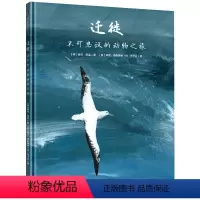 迁徙 不可思议的动物之旅 [正版]直营迁徙 不可思议的动物之旅 领略20种动物令人惊叹的迁徙之旅 3-7岁儿童科普绘本图