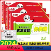 语文+数学+英语[五年真题·分类卷] 小学升初中 [正版]2024新星空小升初分类卷真题卷历年真题万唯人教版语文数学英语