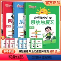 3本]语文+数学+英语[2024新版] 小学升初中 [正版]2024版小升初总复习小学毕业升学系统总复习人教版语文数学英