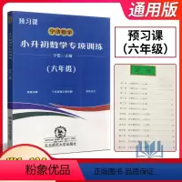 [正版]2024版宁浩数学小升初数学专项训练预习课六年级通用版小学升初中数学基础巩固练技能提升练满分练数学考试解题技巧