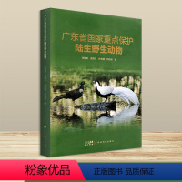 [正版]广东省国家重点保护陆生动物 普及珍稀濒危动物知识 精装全彩印刷 高清动物图照