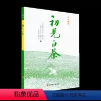 [正版]新版 初见白茶 人人学茶 福鼎白茶知识与文化 茶叶书籍大全 白茶书籍大全 茶文化 茶道茶艺 中国白茶书 福鼎