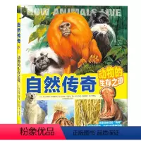 自然传奇 [正版]自然传奇:动物的生存之道 动物的智慧和行为大百科全书 6-12岁儿童科普书揭秘自然动物生命奥秘图画书籍