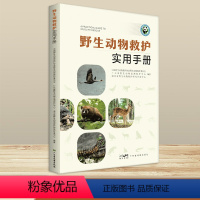 [正版]动物救护实用手册 2023全新版 救护概念 鸟类兽类两栖爬行类救护 常见疾病及治疗 笼舍环境及丰容