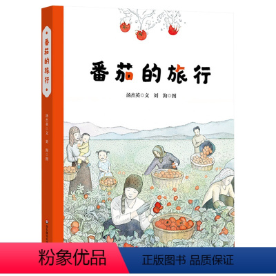 番茄的旅行 [正版]番茄的旅行精装绘本经典原创故事陪伴孩子成长3-6岁以上幼儿早教启蒙认知图画书孩子身边的散文绘本华东师