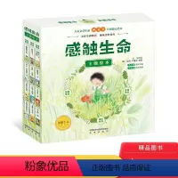 感触生命主题绘本(套装共12册) [正版]感触生命主题绘本(套装共12册)平装图画书传递给孩子温暖完美健康健全的生命教育
