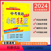 小题狂做 中考物理 提优版 全国通用 [正版]2024新版恩波教育小题狂做中考英语提优版首字母填空与任务型阅读单项填空与