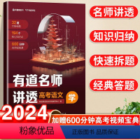 有道名师讲透高考语文 全国通用 [正版]2024版有道名师讲透高考数学语文英语物理化学生物高考大招母题核心知识点高中数理