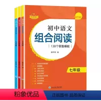 [全3册]789年级语文组合阅读 初中通用 [正版]2024版赞读初中语文阅读组合训练138个阅读理解答题模板公式法技巧
