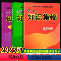 语数英知识集锦[3本套装]江苏专用 小学通用 [正版]江苏超能学典小学知识集锦语文数学英语江苏版小学语文基础知识大全手册