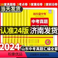 24版 中考语文真题试卷 山东省 [正版]山东专版2024版智乐星山东中考真题汇编语文数学英语物理化学政治历史地理生物超