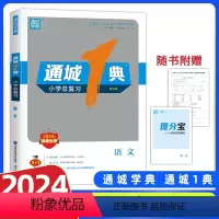 通城1典小学总复习 语文 小学通用 [正版]2024版江苏通城学典一典小学总复习语文数学英语江苏版小学毕业升学总复习资料
