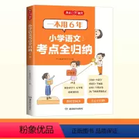 小学语文考点全归纳[全一册] 小学通用 [正版]小学语文考点全归纳全一册三四五六年级小升初重点难点考点同步练习真题分类知