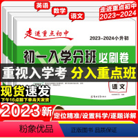 [全3册]初一入学分班必刷卷*语文+数学+英语 小学升初中 [正版]备考2024走进重点初中初一入学分班必刷卷语文数学英