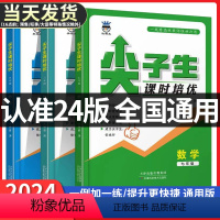 七年级数学 尖子生课时培优 初中通用 [正版]2024奥赛王尖子生课时培优 数学七年级八年级九年级数学培优训练初中拔高题