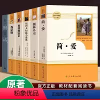 [选读+必读6本]九年级下册全套 [正版]简爱和儒林外史原著九年级下册必读名著课外书人民教育出版社老师完整版人教版初中生