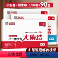 [3本]小升初考卷大集结-语数英 小学升初中 [正版]2024版小升初考卷大集结六年级下册试卷测试卷全套语文数学英语小学