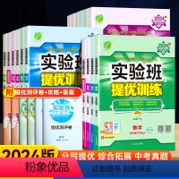 [人教版]九年级下册全套(7本) 九年级下 [正版]2024版初中实验班提优训练七年级八九年级下册语文数学英语物理政治历