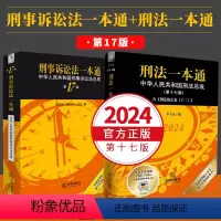 [正版]全2册2023新版刑法一本通第十七版+刑事诉讼法一本通第十七版第17版刑法刑诉法一本通中华人民共和国刑事诉讼法