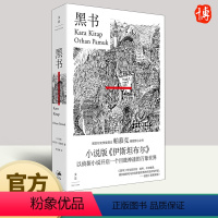 [正版]2024新书 黑书 诺奖得主奥尔罕帕慕克 野心之作侦探小说伊斯坦布尔我脑袋里的怪东西我的名字叫红9787208