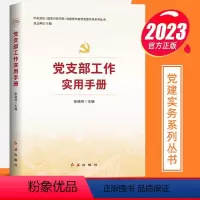 [正版]2023新书 党支部工作实用手册 党建部学者讲党建实务系列丛书 张晓燕 著 红旗出版社 新时代党务基层组织