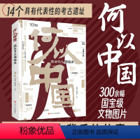 [正版]2024年何以中国我从考古现场来 探寻五千年文明奇迹历史珍藏版精选300余幅珍贵文物图片考古背后故事收藏书籍四