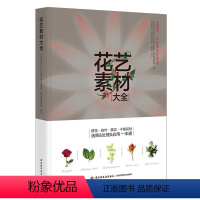 [正版]花艺素材大全 鲜切花品种图册园艺花叶枝果干燥花植物图鉴识别花图鉴花艺素材图解花店插花设计DK园艺学会家居植物实