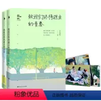 [正版]2册 辛夷坞作品:致我们终将逝去的青春 青春校园小说原著书籍